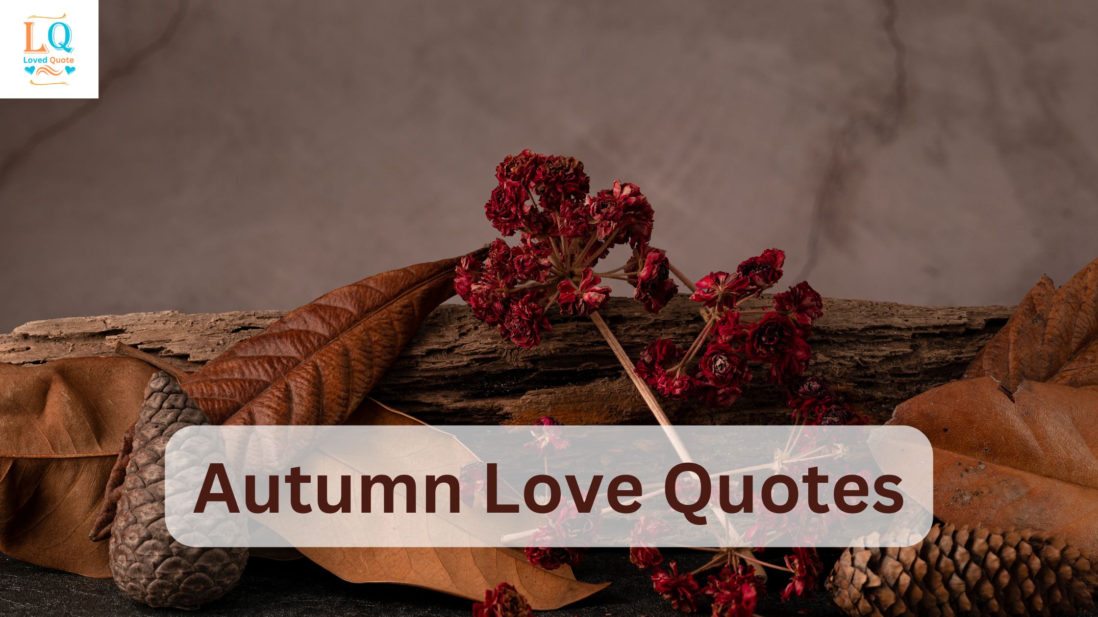 Autumn Love Quotes