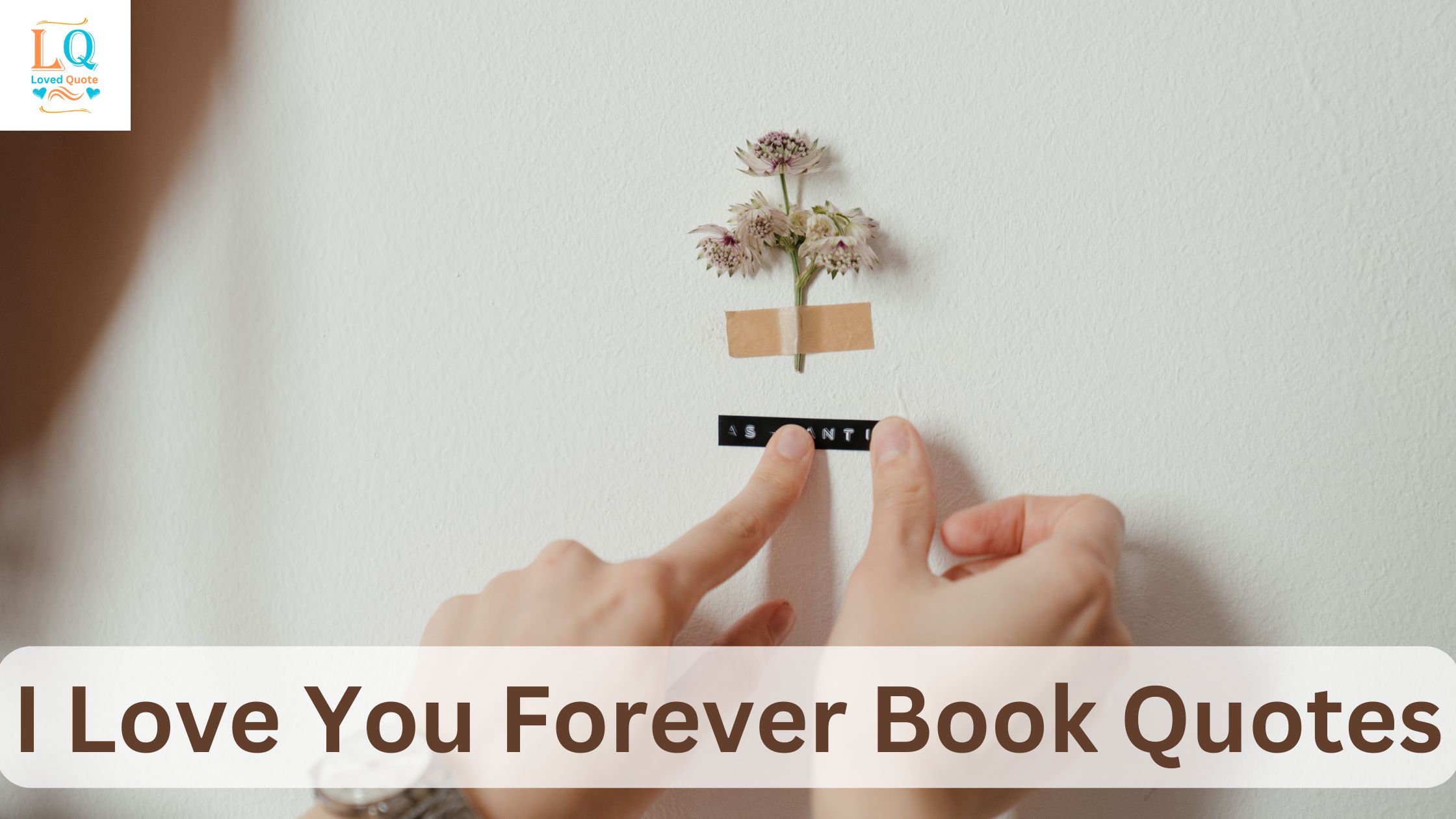 I Love You Forever Book