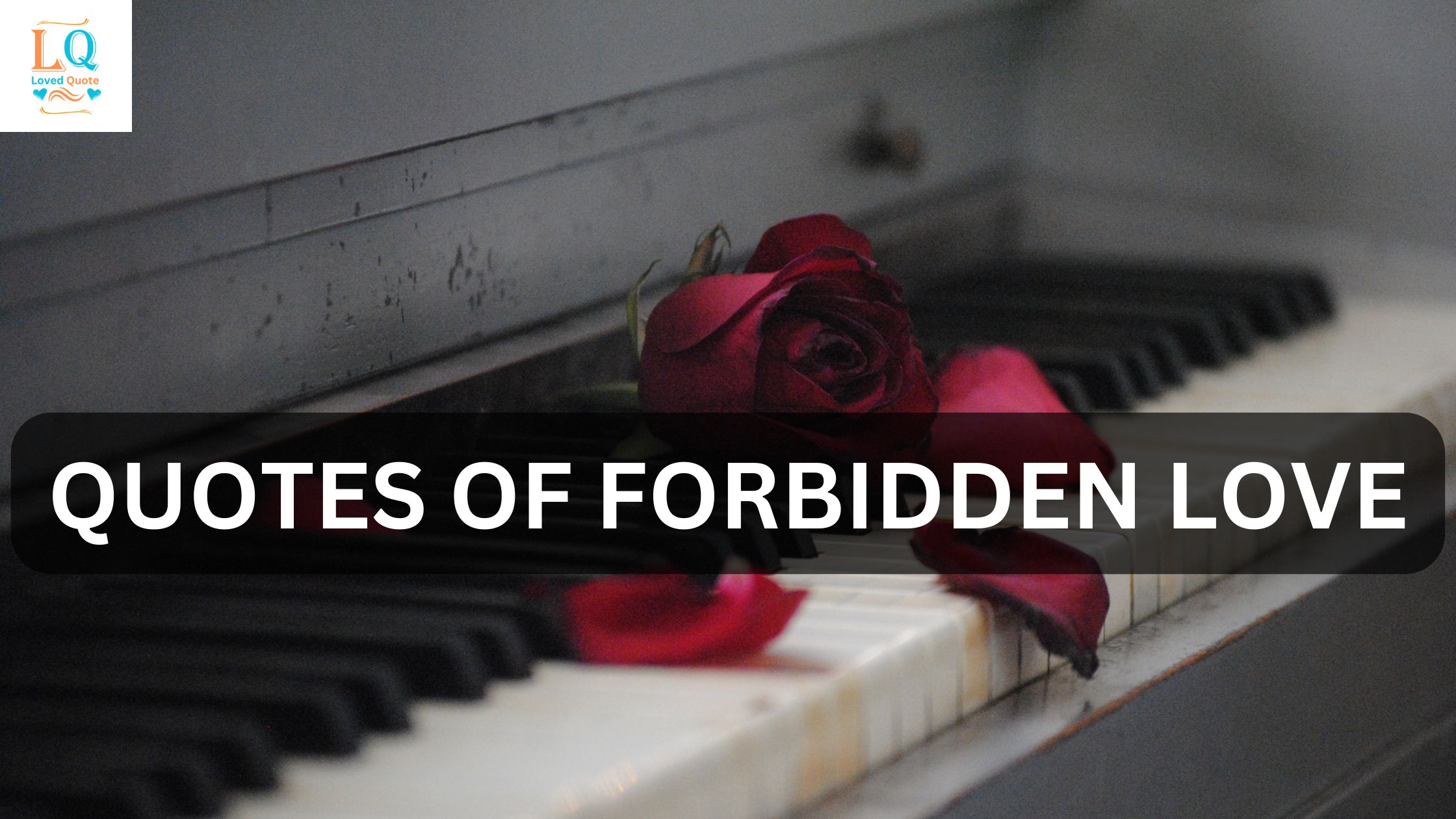 Quotes of Forbidden Love