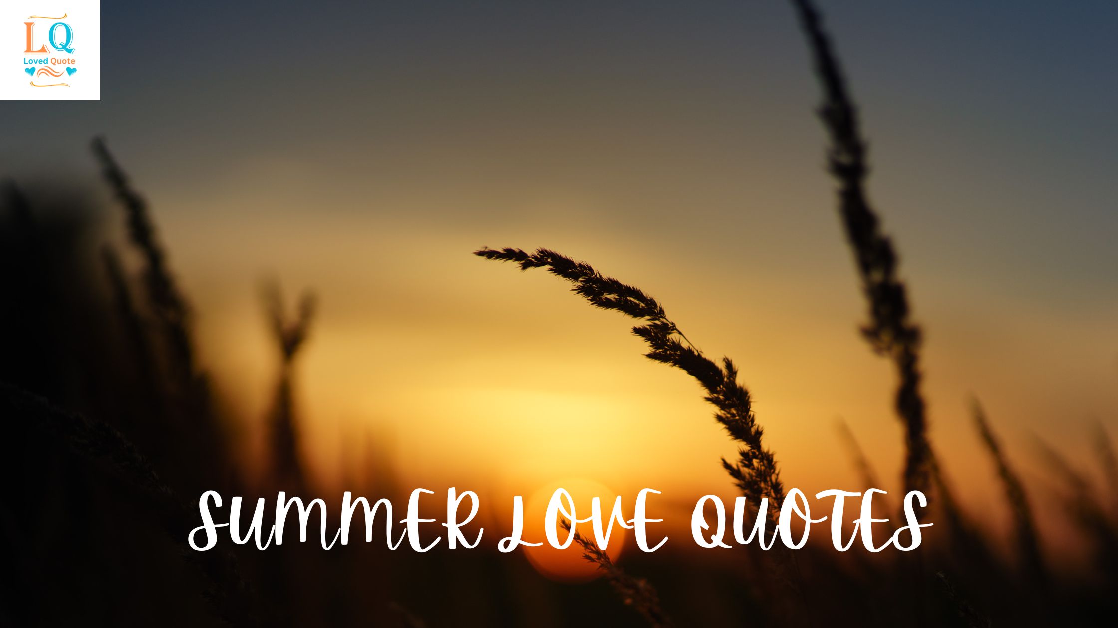 Summer Love Quotes