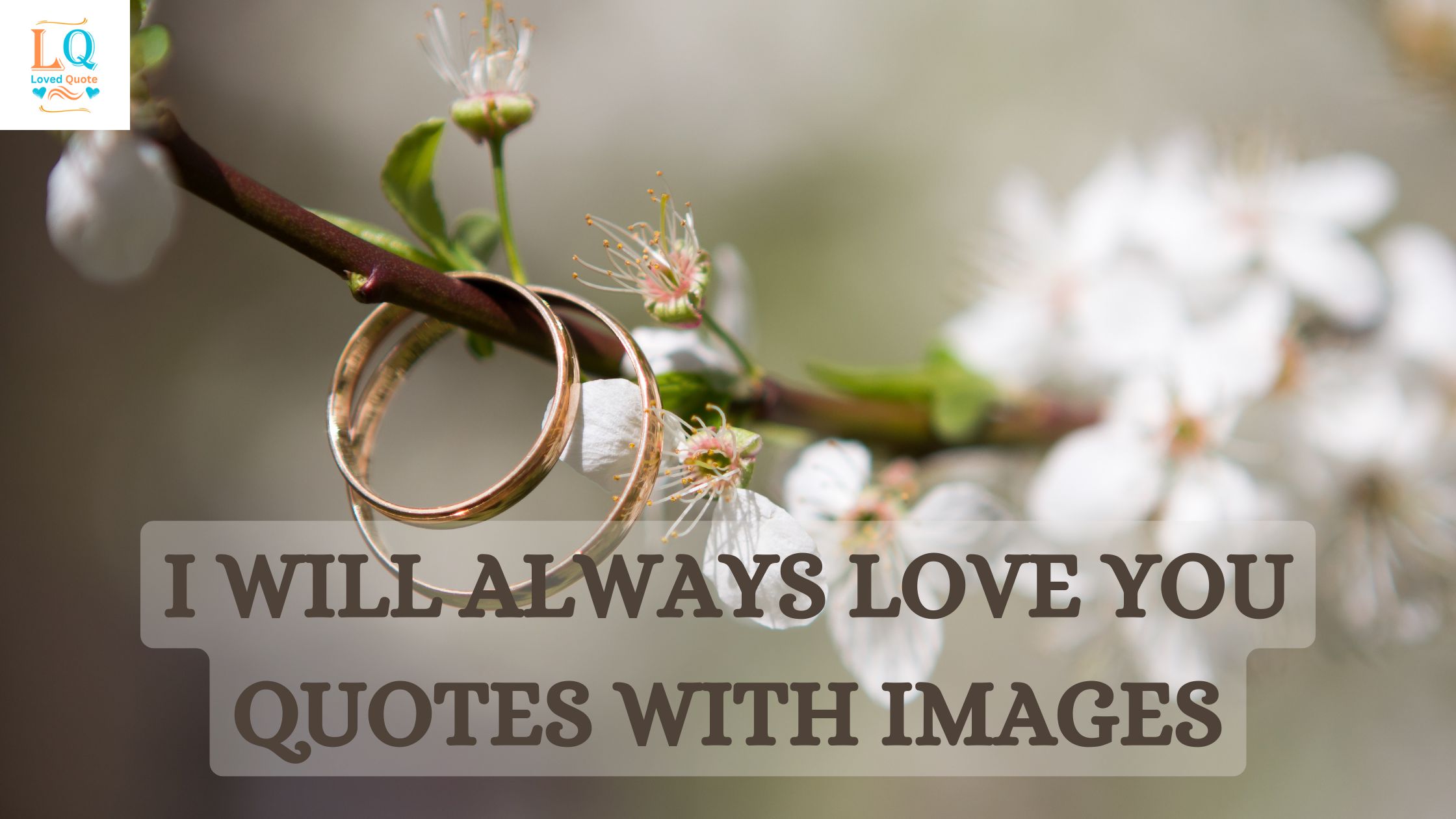 I Will Always Love You Quotes With Images