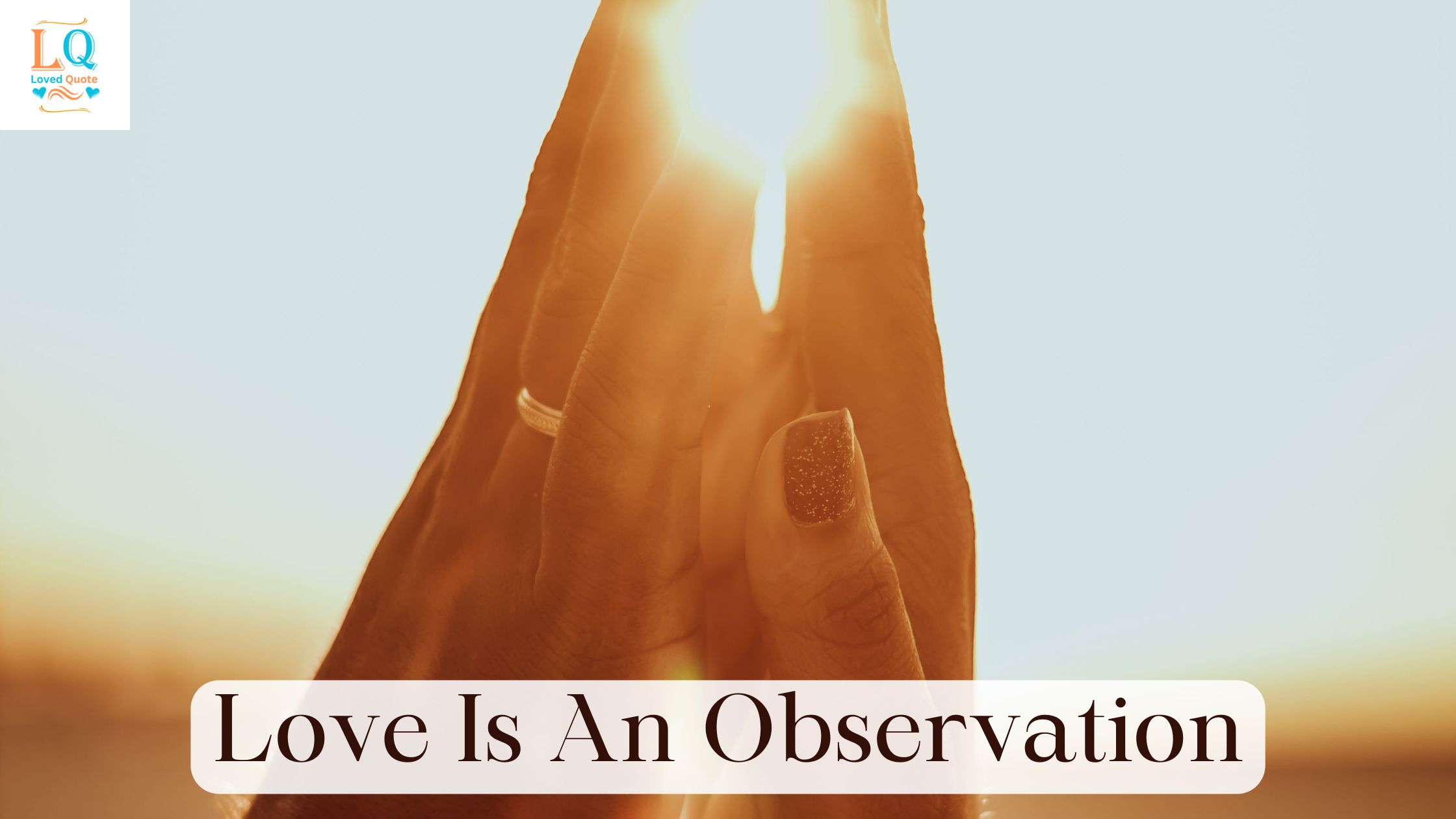 Love Is An Observation