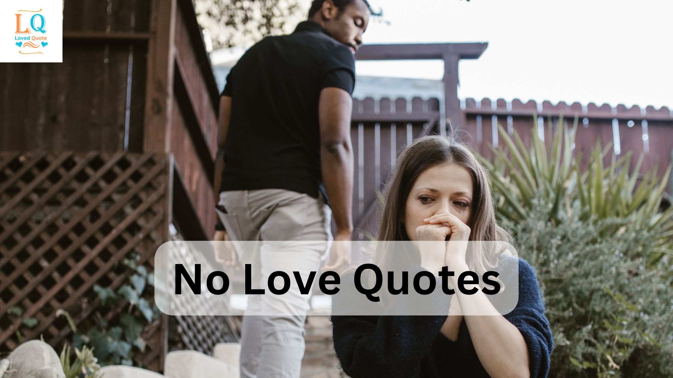 No Love Quotes