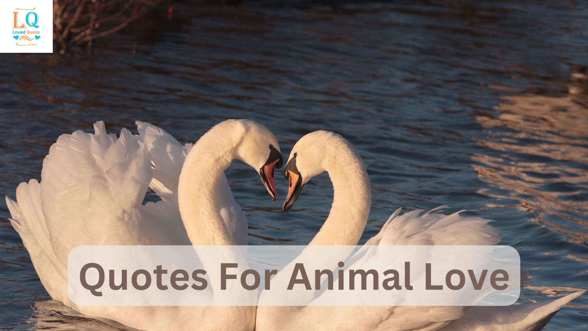 Quotes For Animal Love