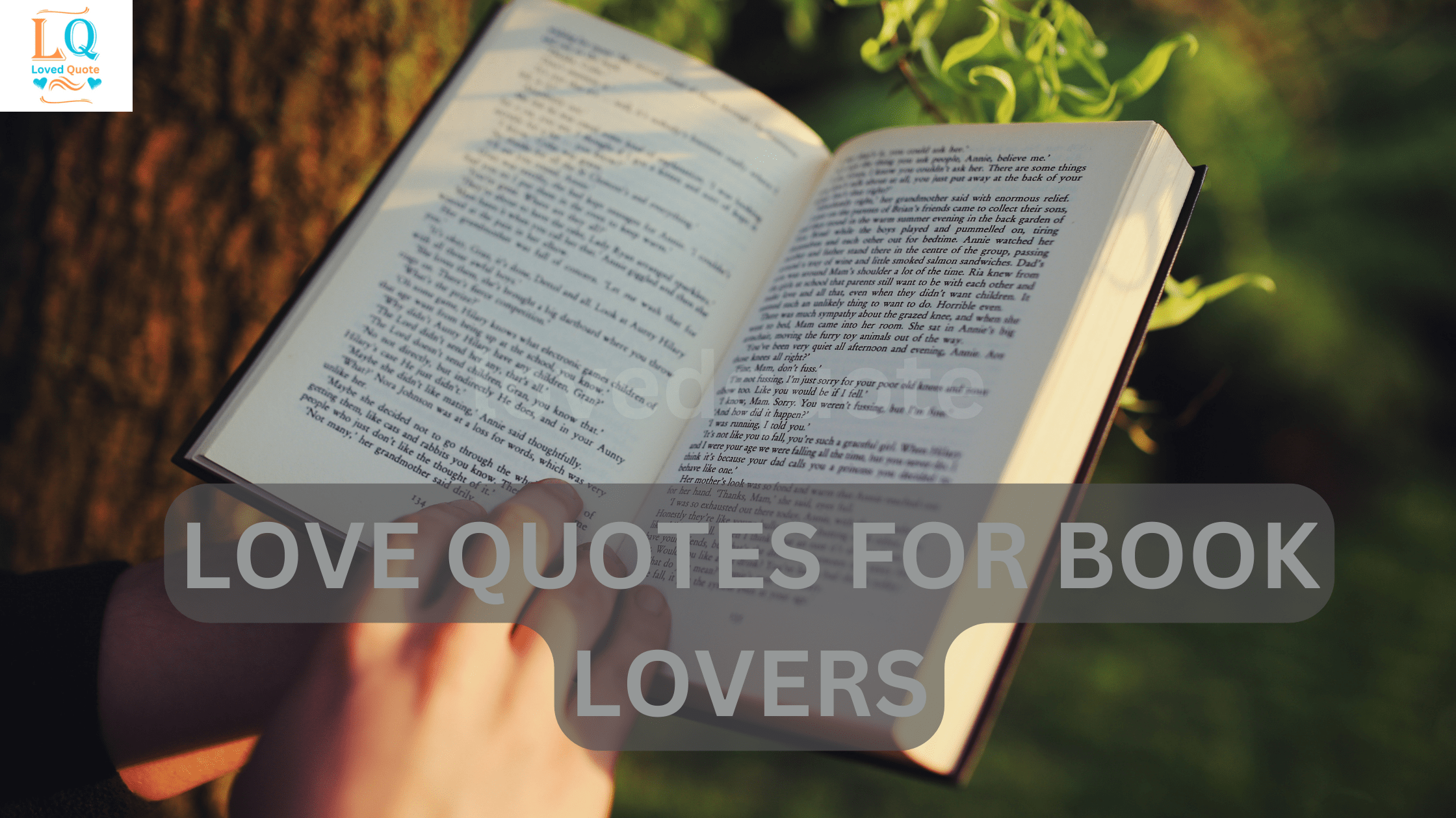 Love Quotes for Book Lovers