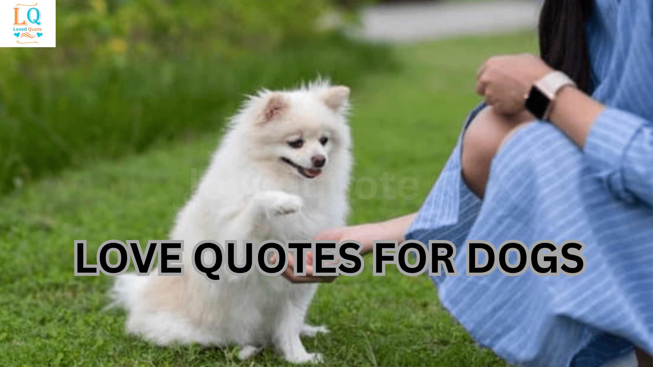 Love Quotes for Dogs