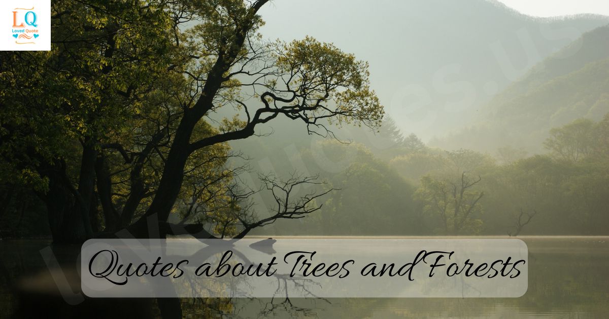 Quotes about Trees and Forests